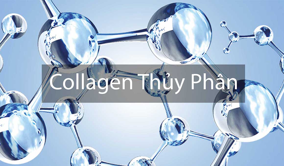 Collagen peptide là gì?