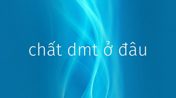 Chất DMT có ở đâu?