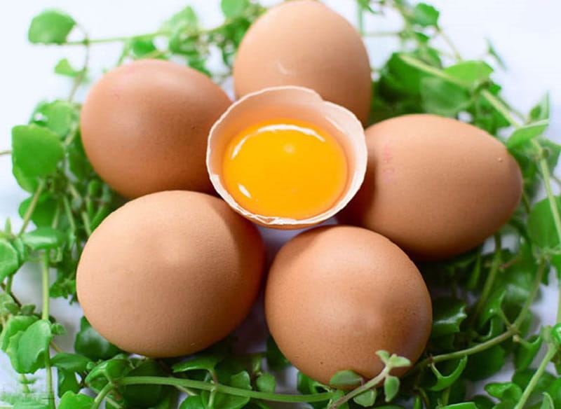 5 Cách chữa yếu sinh lý bằng trứng gà giúp kéo dài cuộc yêu