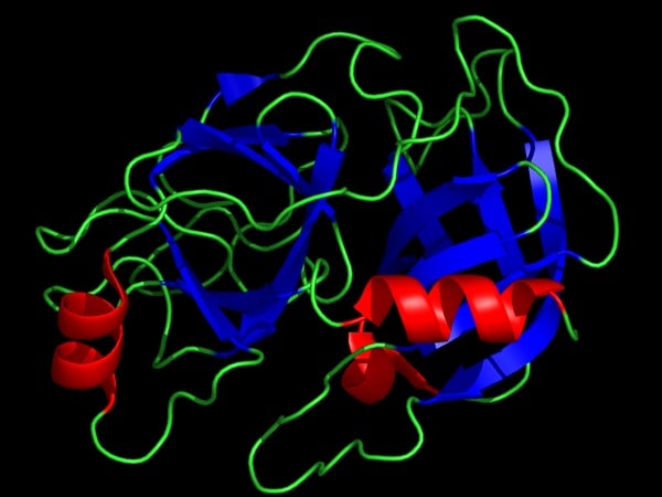 enzyme trypsin